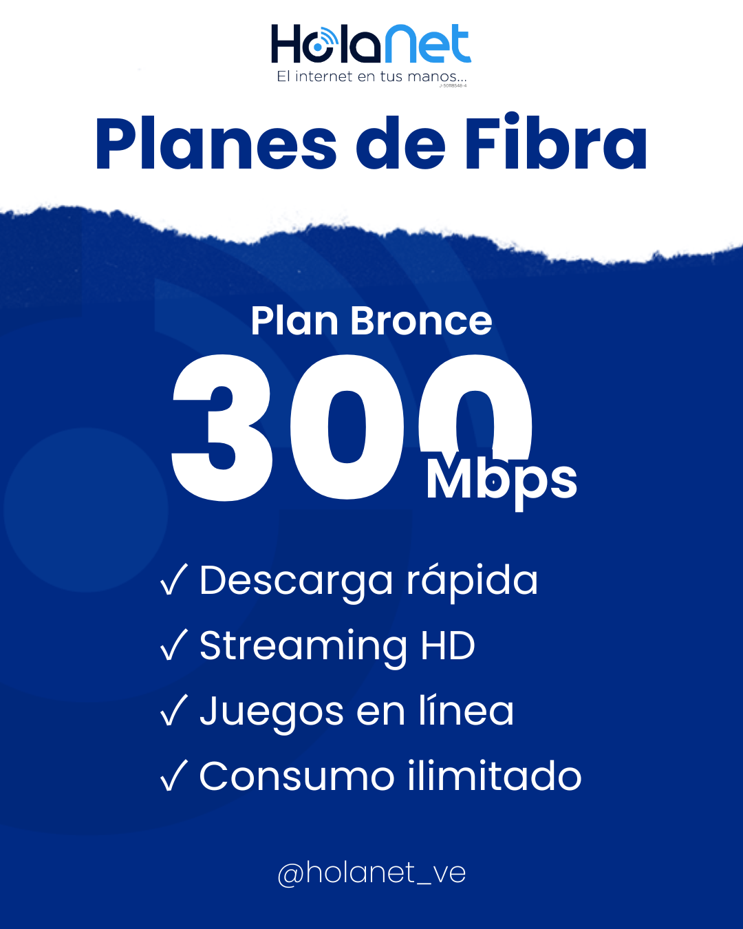 Plan Bronce